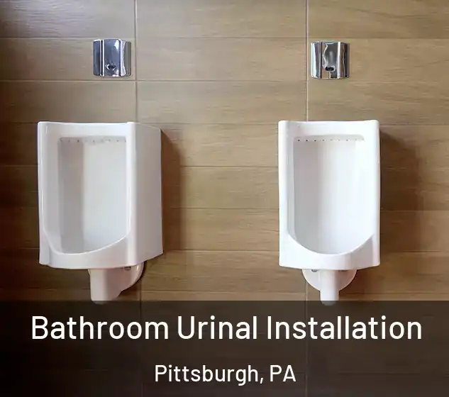  Bathroom Urinal Installation Pittsburgh, PA