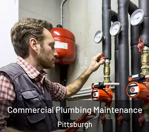  Commercial Plumbing Maintenance Pittsburgh