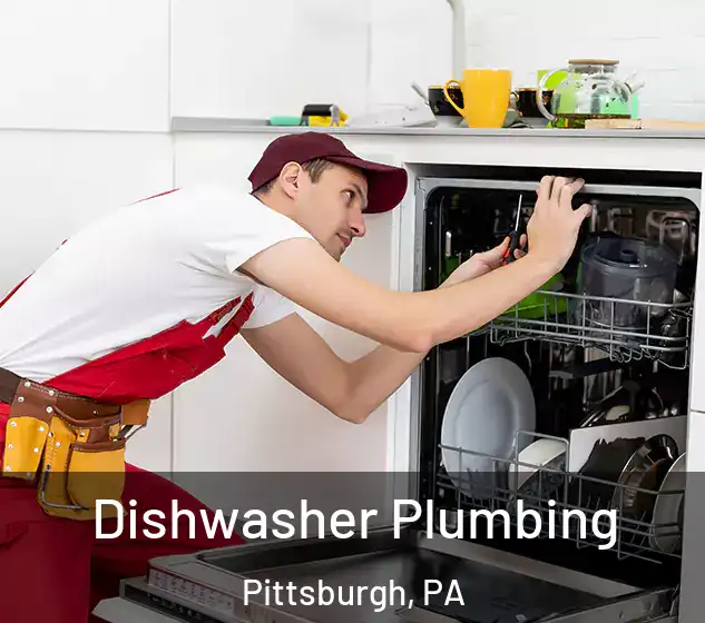  Dishwasher Plumbing Pittsburgh, PA