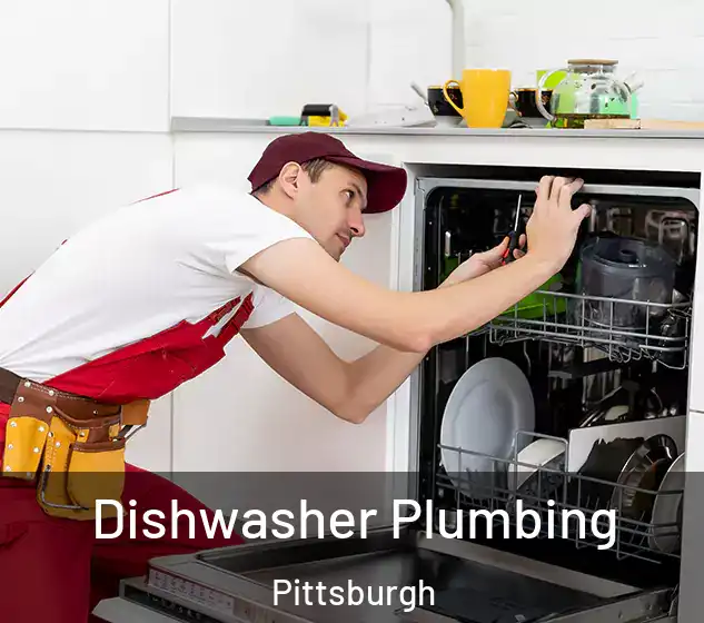  Dishwasher Plumbing Pittsburgh