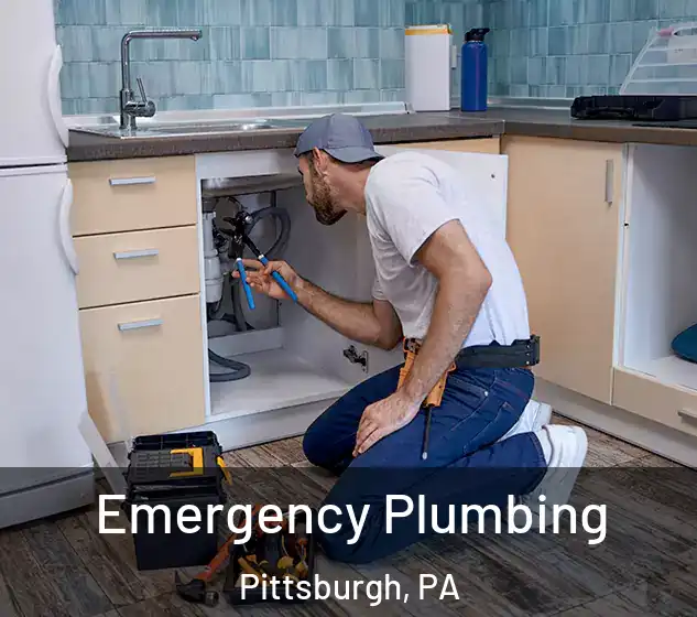  Emergency Plumbing Pittsburgh, PA