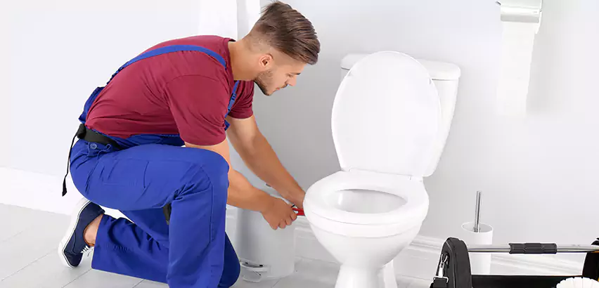 Scope of Bathroom Toilet Bowl Replacement Services in Pittsburgh, PA