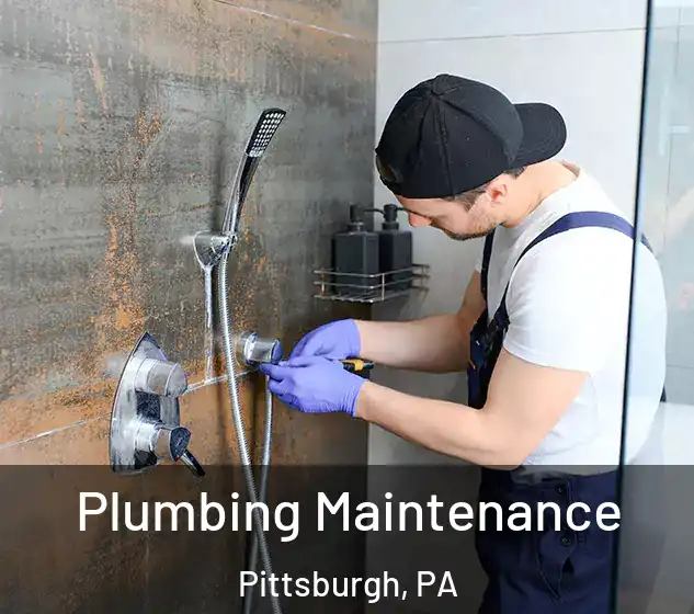  Plumbing Maintenance Pittsburgh, PA