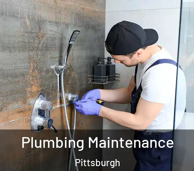  Plumbing Maintenance Pittsburgh