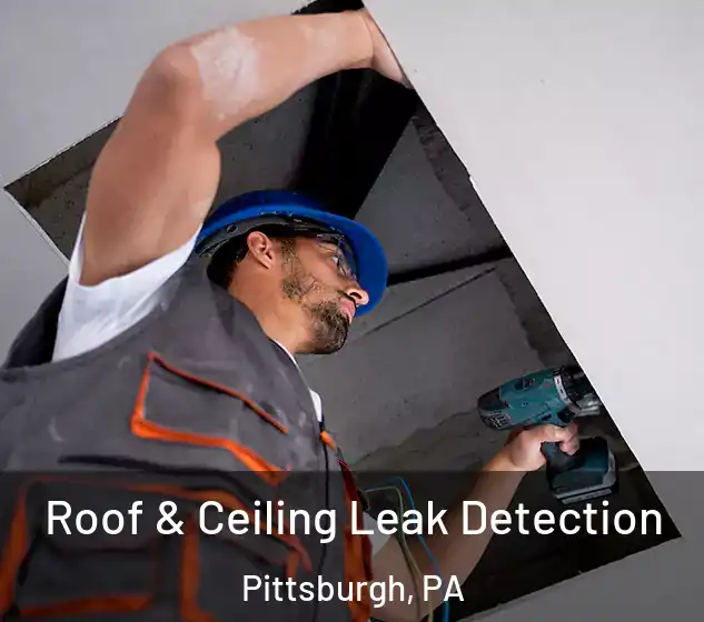  Roof & Ceiling Leak Detection Pittsburgh, PA