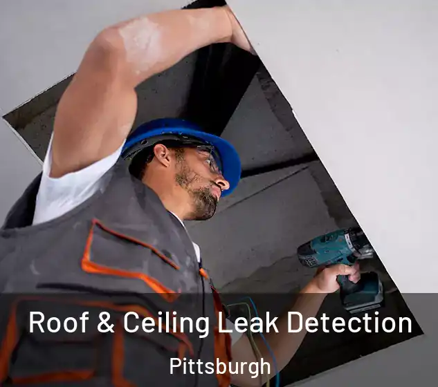  Roof & Ceiling Leak Detection Pittsburgh