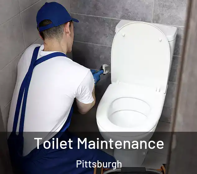  Toilet Maintenance Pittsburgh