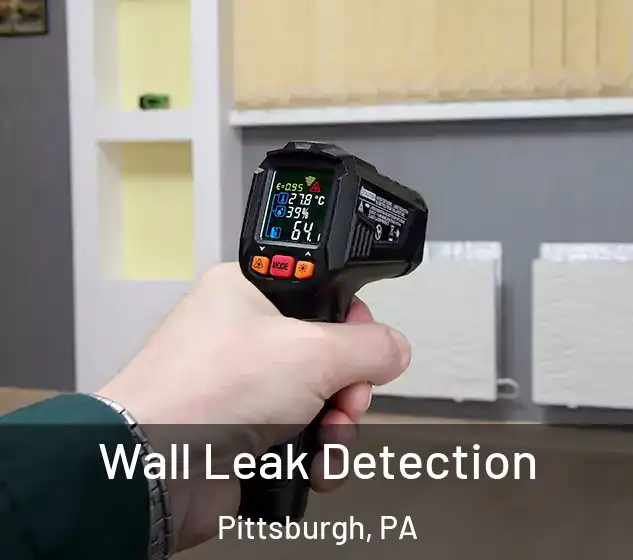  Wall Leak Detection Pittsburgh, PA