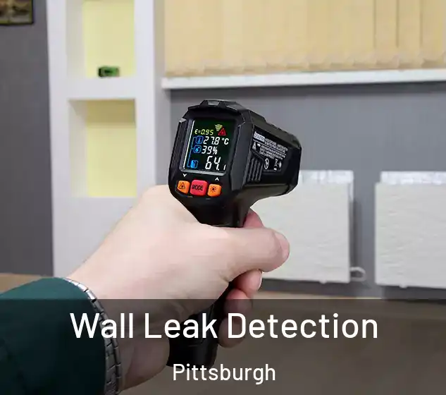  Wall Leak Detection Pittsburgh