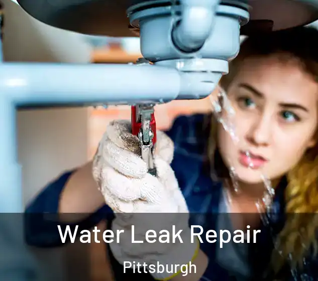  Water Leak Repair Pittsburgh